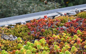 the cost of Pairc Shiaboist green roof installation