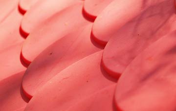 Pairc Shiaboist plastic roof costs