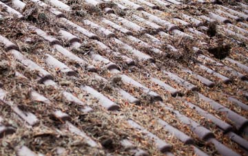 Pairc Shiaboist roof cleaning companies