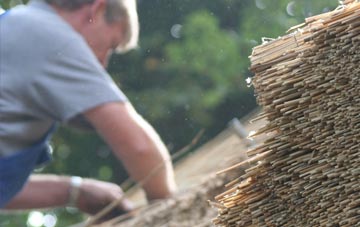 professional Pairc Shiaboist thatchers