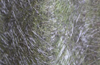 Pairc Shiaboist fibreglass roof work